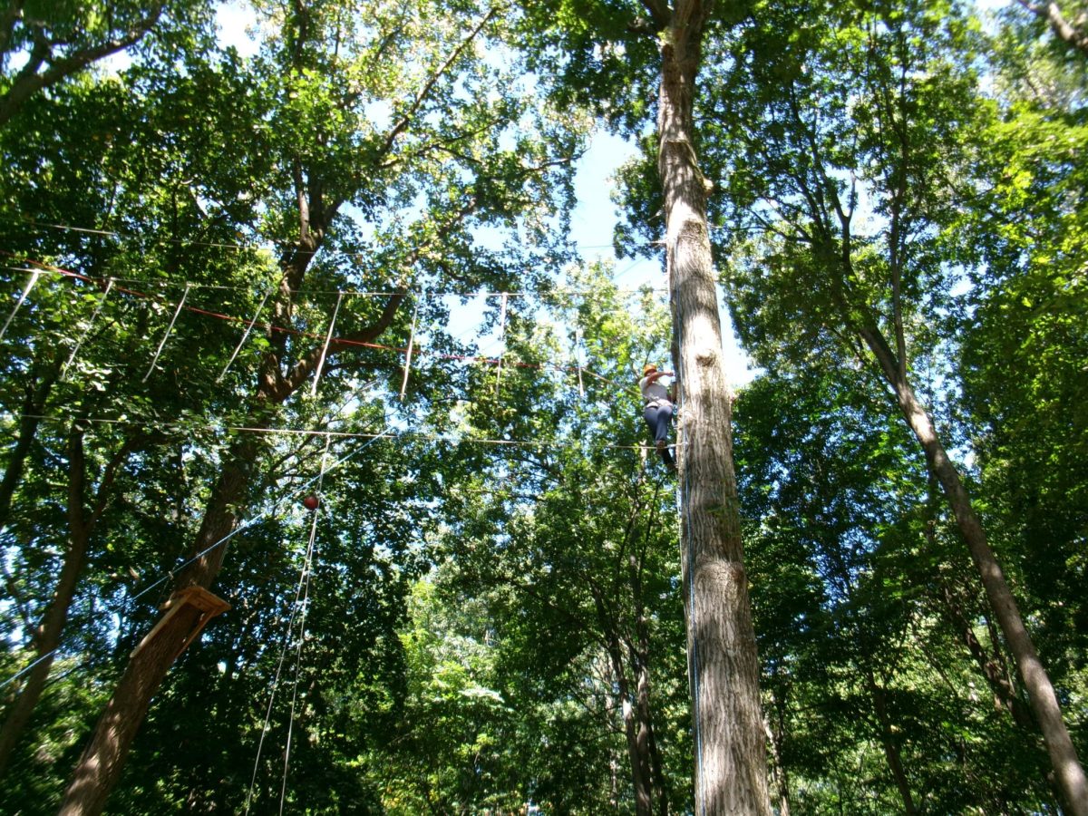 Faculty and students attempt the ropes course